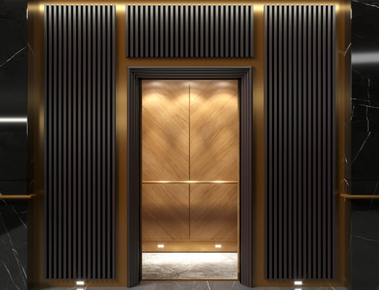 Luxury Elevator Stands Open.